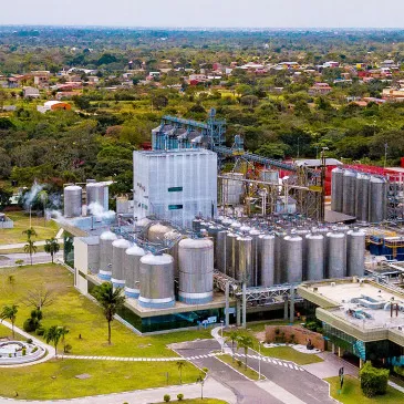 TEXTO REFERENCIAL